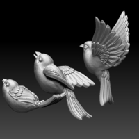 birds - Thumbnail 3