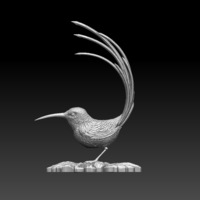 colibri humming bird - Thumbnail 2