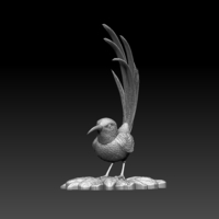 colibri humming bird - Thumbnail 4