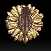 colibri humming bird - Thumbnail 6