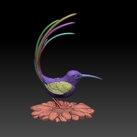 colibri humming bird - Thumbnail 8