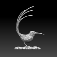 colibri humming bird - Thumbnail 13