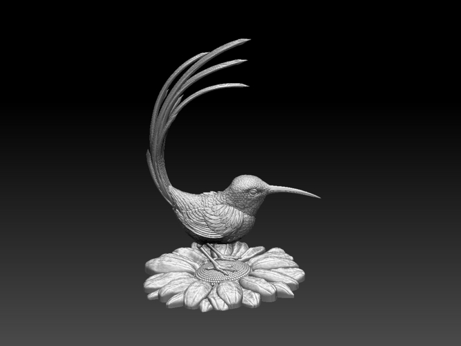 colibri humming bird