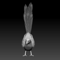 MAGPIE - Thumbnail 1