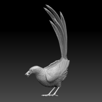 Small MAGPIE 3D Printing 509661