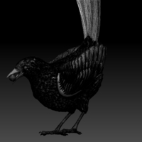 MAGPIE - Thumbnail 3