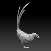 MAGPIE - Thumbnail 4