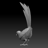 MAGPIE - Thumbnail 5