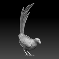 MAGPIE - Thumbnail 6