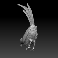 MAGPIE - Thumbnail 7