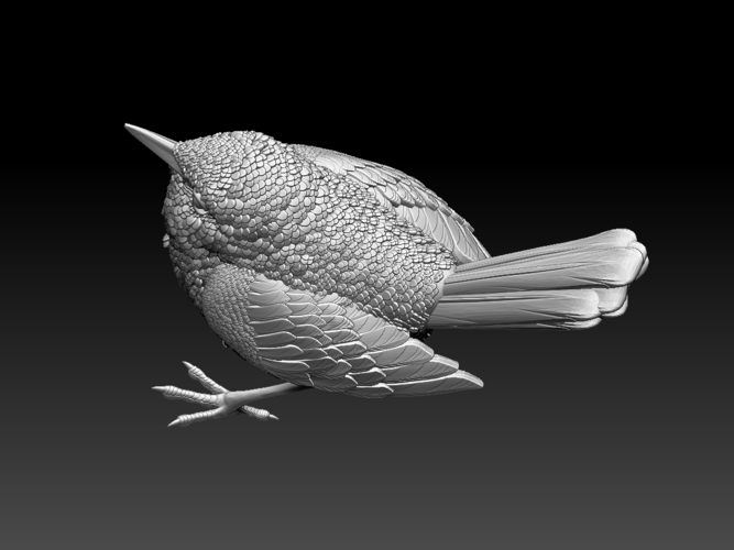 wren 3D Print 509669