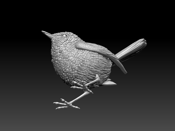 wren 3D Print 509671