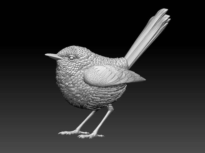 wren 3D Print 509672