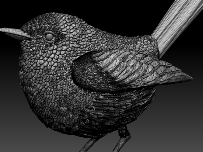 wren 3D Print 509673