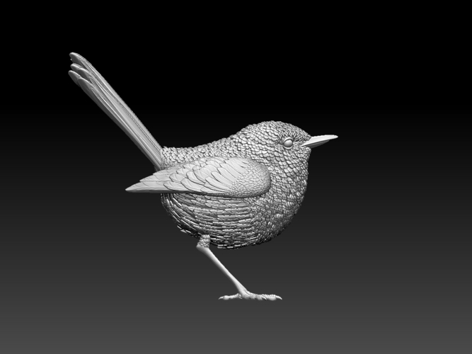 wren 3D Print 509674