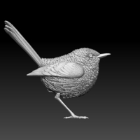 Small wren 3D Printing 509674