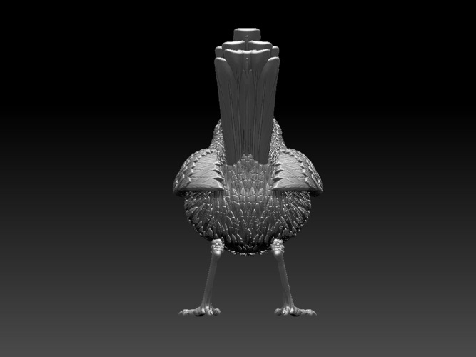 wren 3D Print 509675