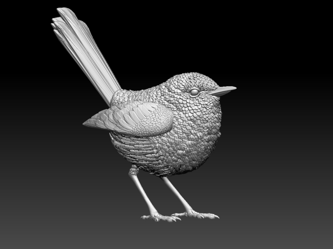 wren 3D Print 509677