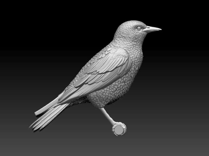 starling  3D Print 509679