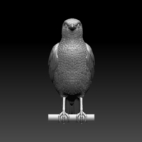 starling  - Thumbnail 3
