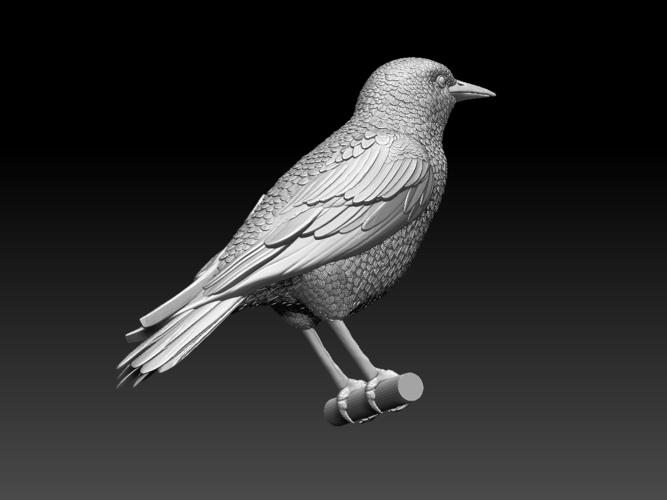 starling  3D Print 509682