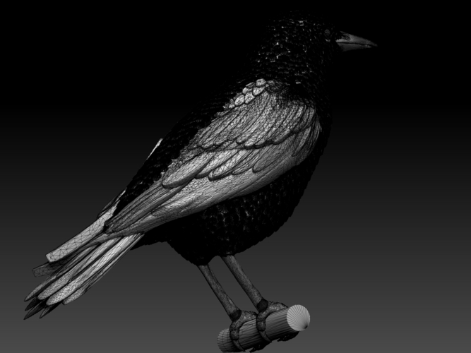 starling  3D Print 509684