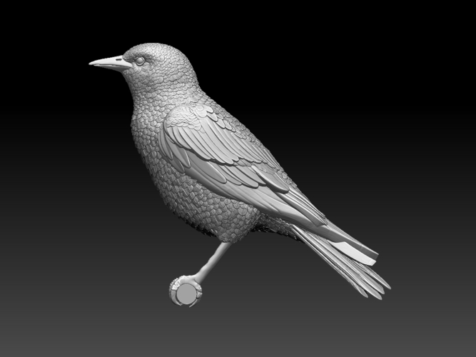 starling  3D Print 509685