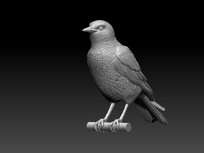 starling  3D Print 509686