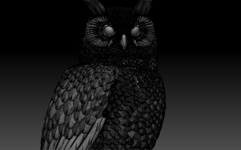 owl 3D Print 509688