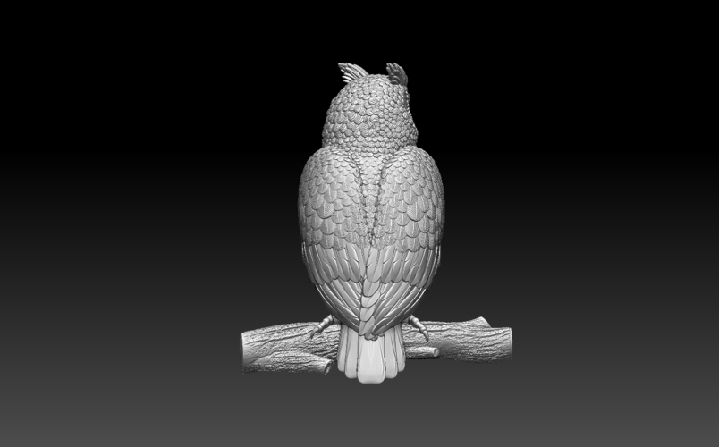 owl 3D Print 509693