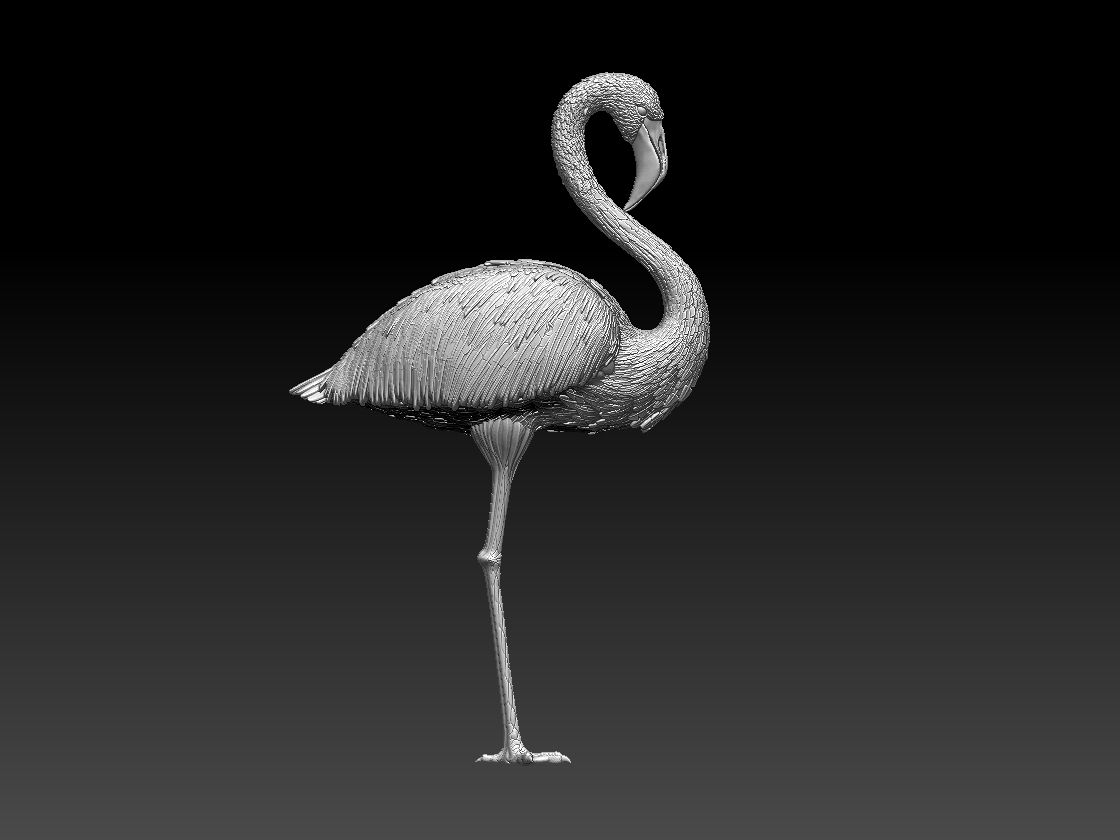 STL file Tropical Hawaiian Flamingo and Bird Texture Roller for