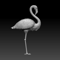flamingo - Thumbnail 1