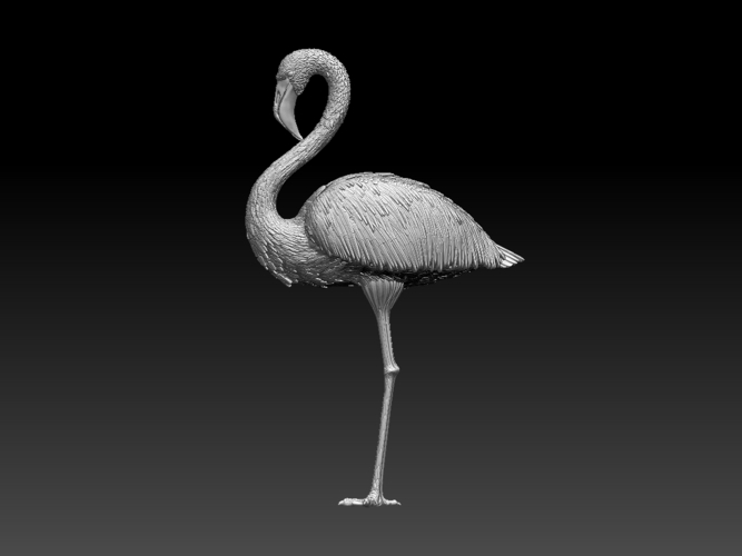 flamingo 3D Print 509696