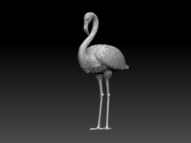 flamingo 3D Print 509697