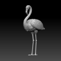 flamingo - Thumbnail 3