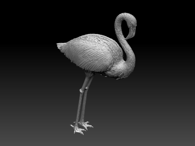 flamingo 3D Print 509699