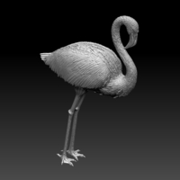 flamingo - Thumbnail 5