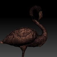 flamingo - Thumbnail 6