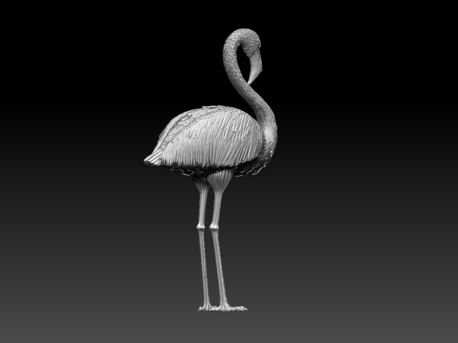 flamingo 3D Print 509701