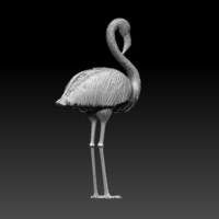 flamingo - Thumbnail 7