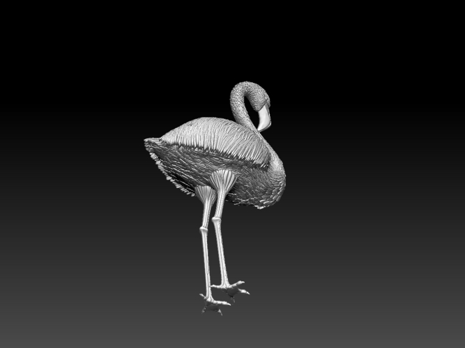 flamingo 3D Print 509702