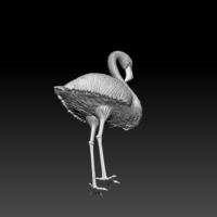 flamingo - Thumbnail 8