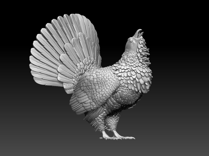 capercaillie 3D Print 509703