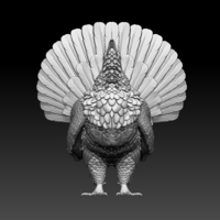capercaillie - Thumbnail 2