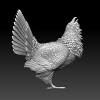 capercaillie - Thumbnail 3