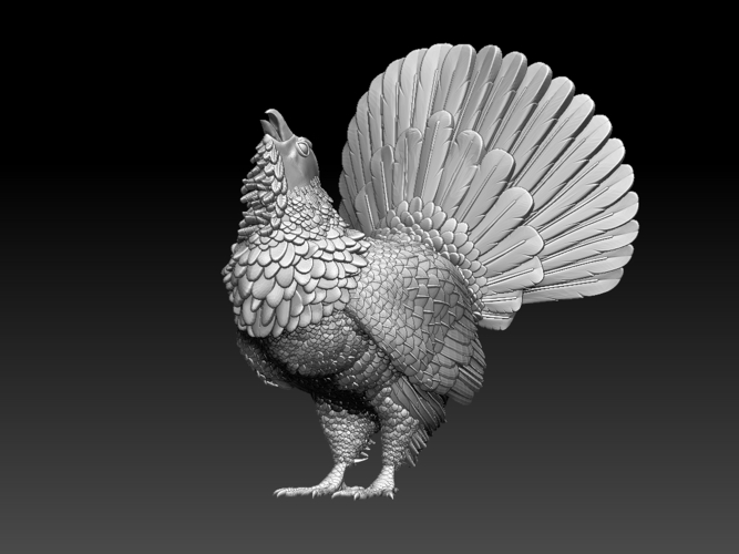 capercaillie 3D Print 509707