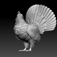 Small capercaillie 3D Printing 509707