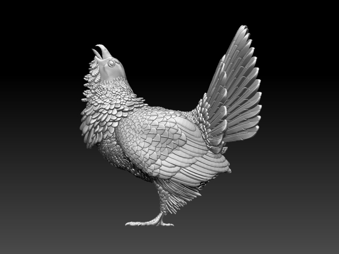 capercaillie 3D Print 509709