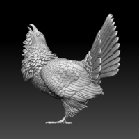 capercaillie - Thumbnail 7