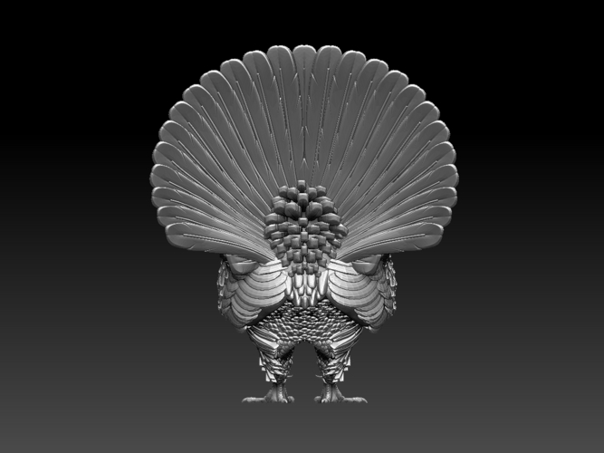 capercaillie 3D Print 509710